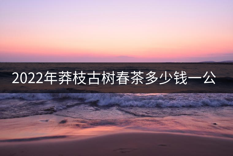 2022年莽枝古樹(shù)春茶多少錢(qián)一公斤？