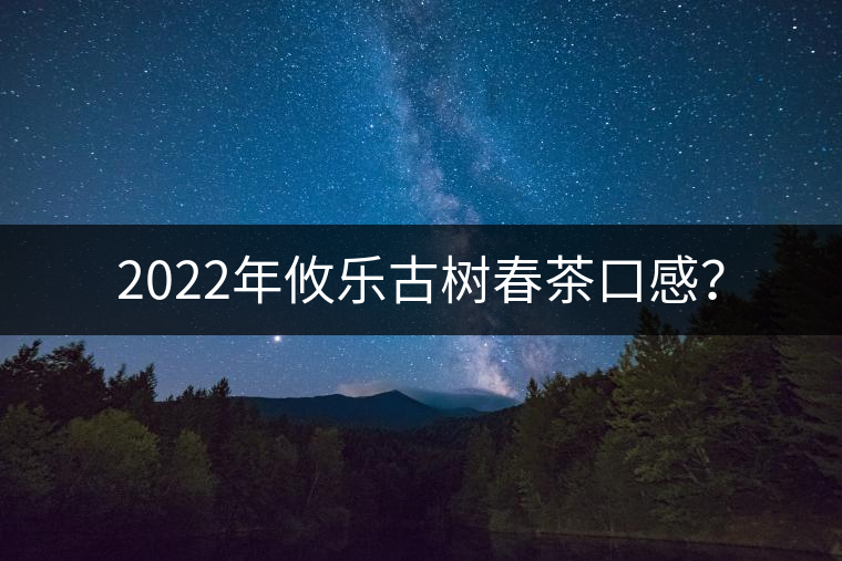 2022年攸樂(lè)古樹(shù)春茶口感? 2022年攸樂(lè)古樹(shù)春茶口感?