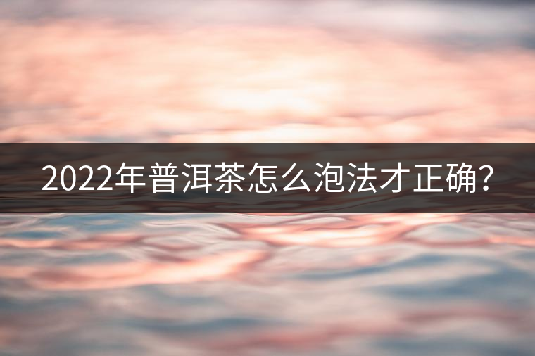 2022年普洱茶怎么泡法才正確？