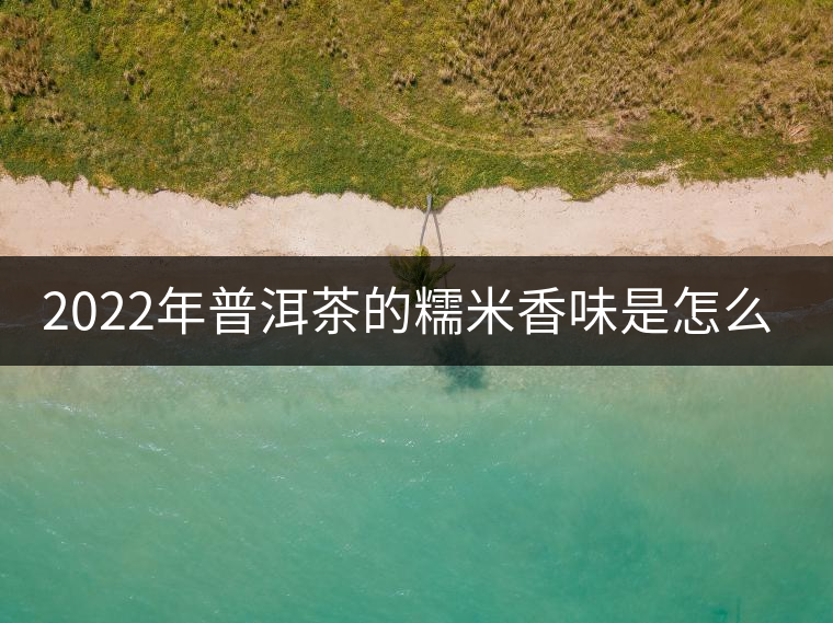 2022年普洱茶的糯米香味是怎么來的？