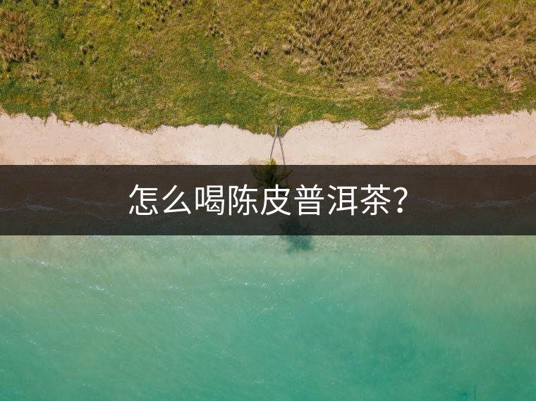 怎么喝陳皮普洱茶？
