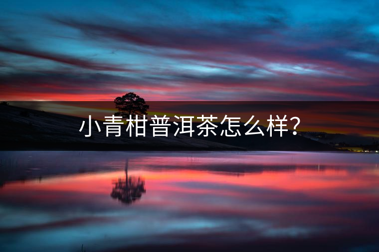 小青柑普洱茶怎么樣？
