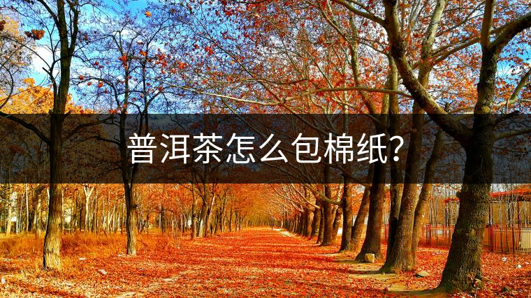 普洱茶怎么包棉紙？
