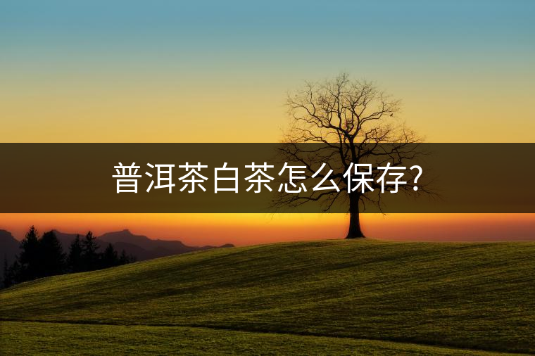 普洱茶白茶怎么保存? 普洱茶白茶怎么保存?