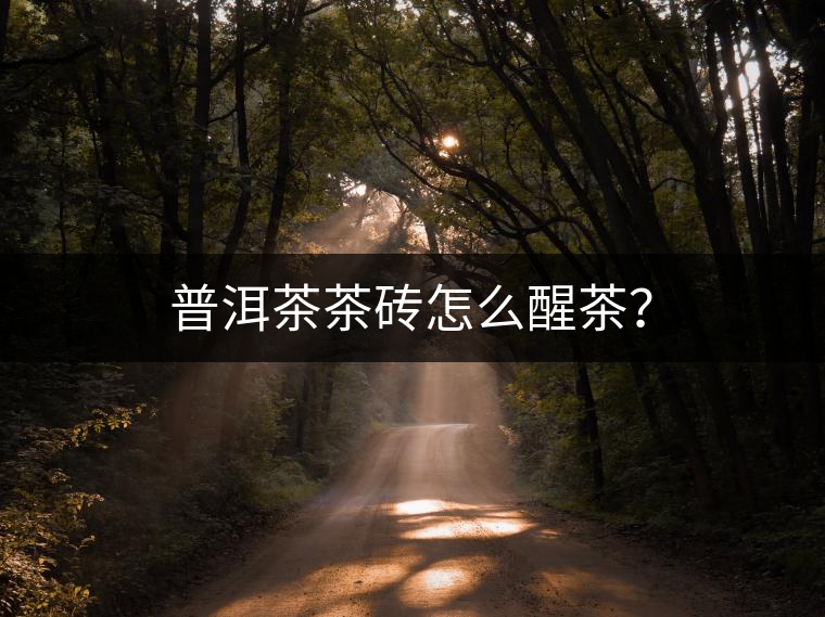 普洱茶茶磚怎么醒茶？