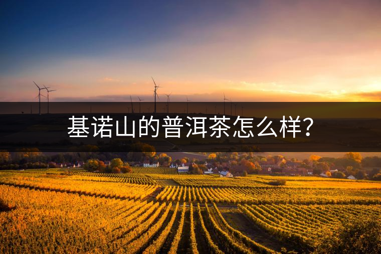 基諾山的普洱茶怎么樣？