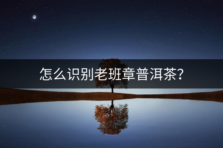 怎么識別老班章普洱茶？