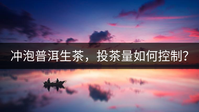 沖泡普洱生茶，投茶量如何控制？