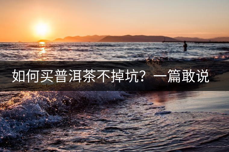 如何買(mǎi)普洱茶不掉坑？一篇敢說(shuō)真話的良心之作。