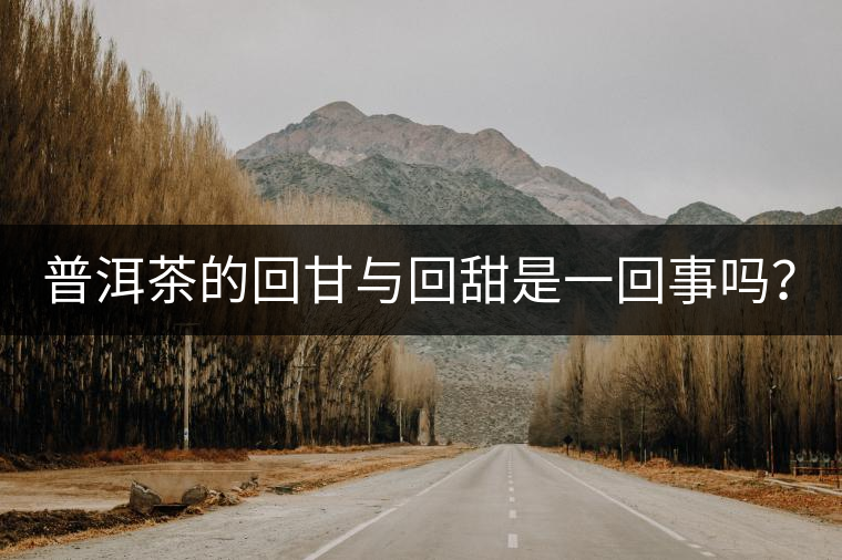 普洱茶的回甘與回甜是一回事嗎？？