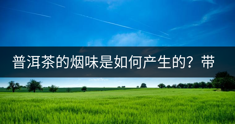 普洱茶的煙味是如何產(chǎn)生的？帶煙味的普洱茶是好還是壞？