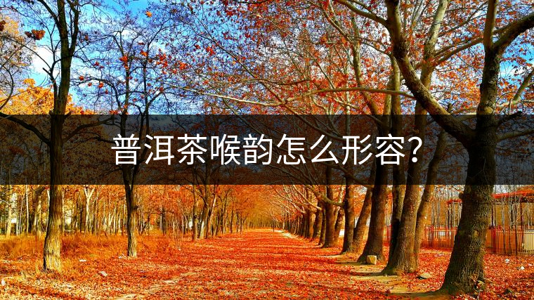 普洱茶喉韻怎么形容？