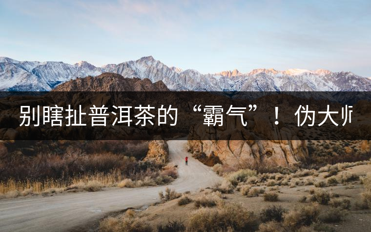 別瞎扯普洱茶的“霸氣”！偽大師！