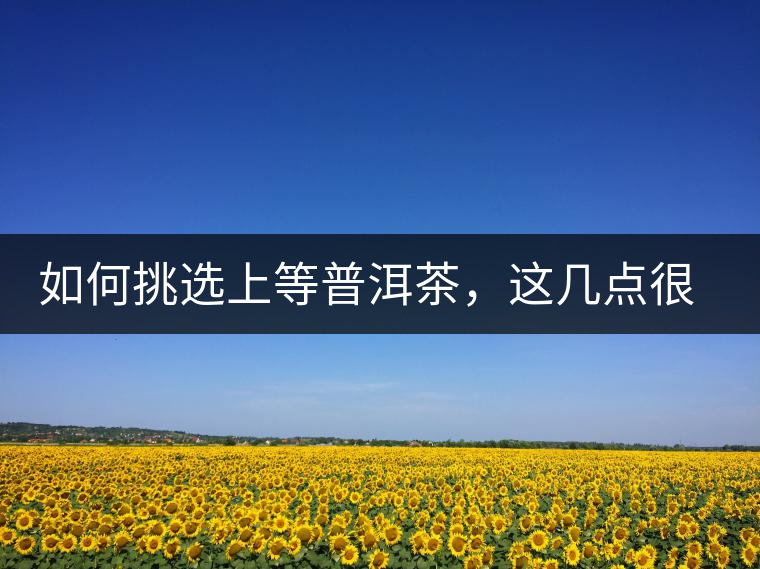 如何挑選上等普洱茶，這幾點(diǎn)很關(guān)鍵