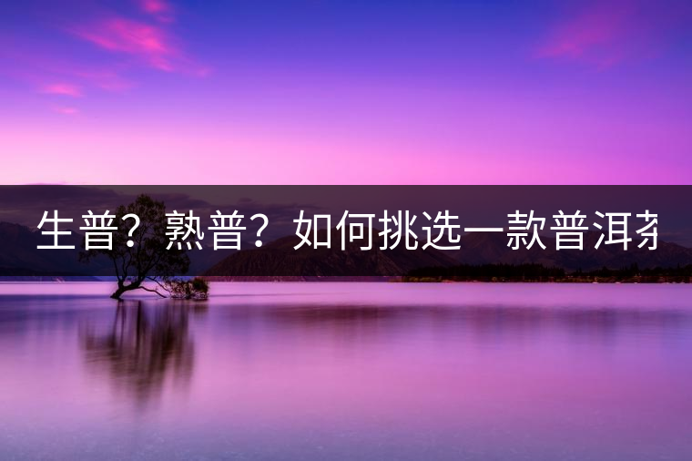 生普？熟普？如何挑選一款普洱茶？