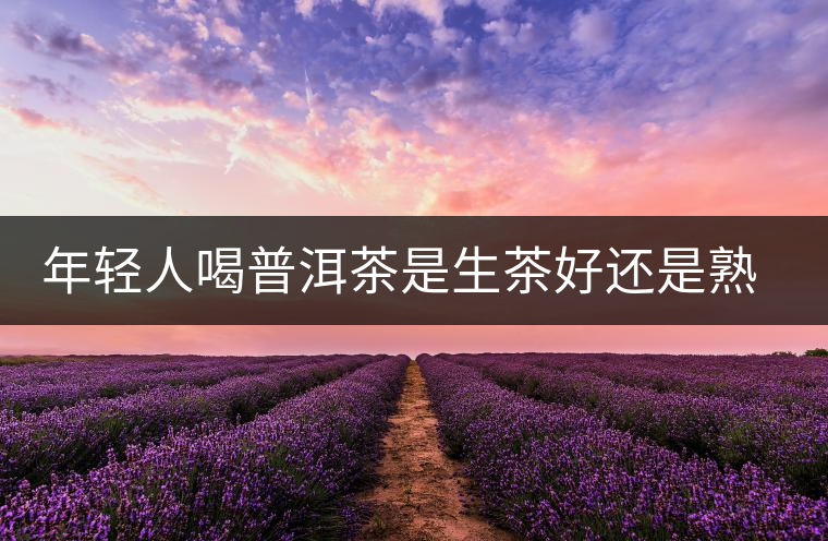 年輕人喝普洱茶是生茶好還是熟茶好？該怎么選擇？