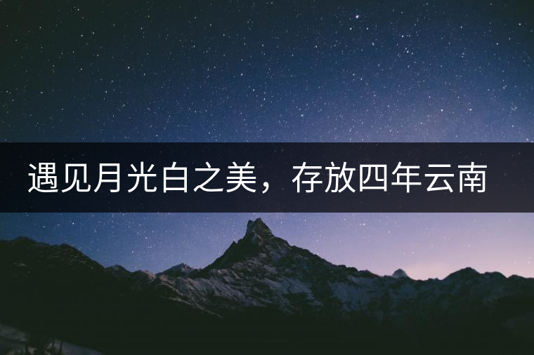 遇見月光白之美，存放四年云南古樹白茶