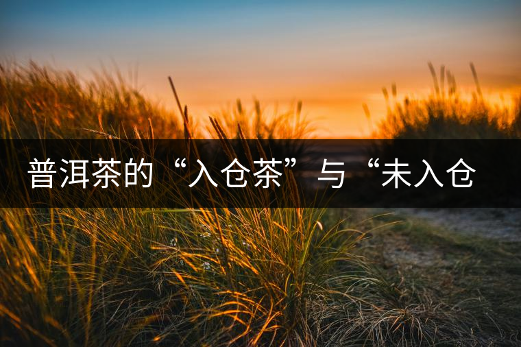 普洱茶的“入倉茶”與“未入倉茶”如何區(qū)分，你造嗎？