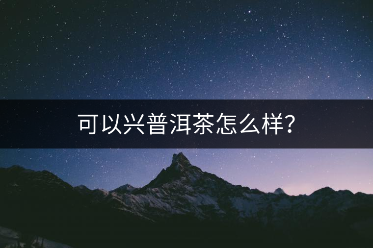 可以興普洱茶怎么樣？