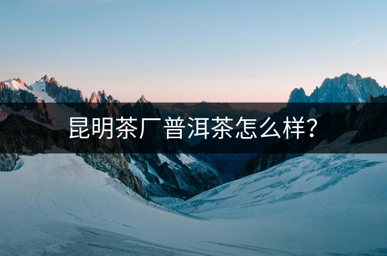 昆明茶廠普洱茶怎么樣？