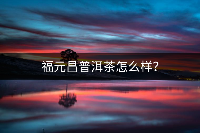 福元昌普洱茶怎么樣？