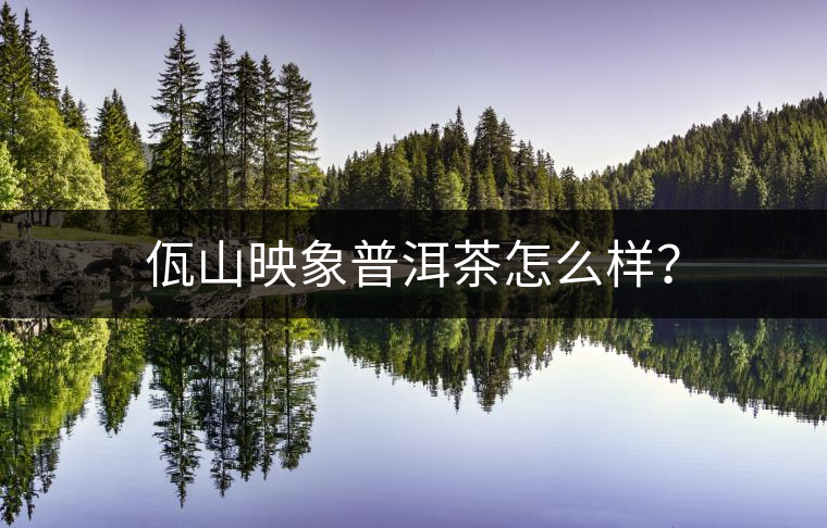 佤山映象普洱茶怎么樣? 佤山映象普洱茶怎么樣?