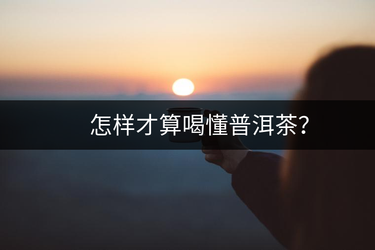 　怎樣才算喝懂普洱茶？