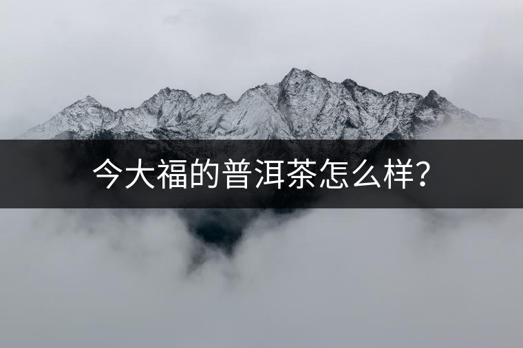 今大福的普洱茶怎么樣？