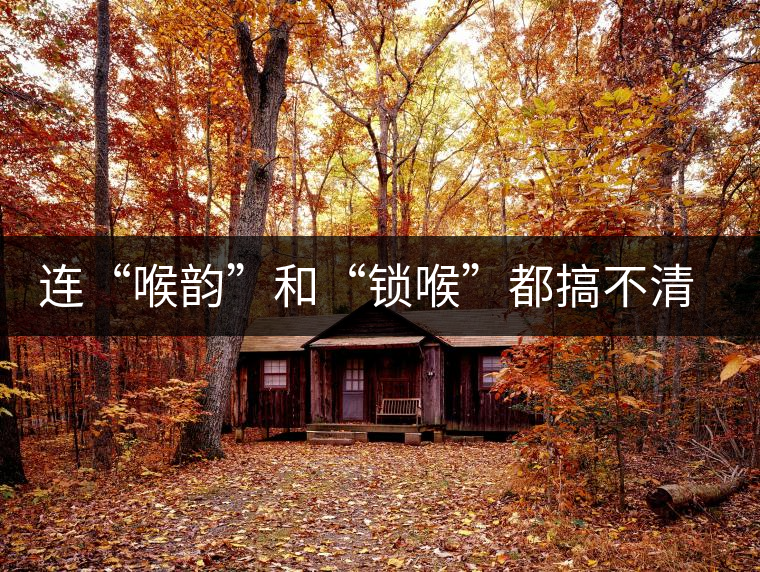 連“喉韻”和“鎖喉”都搞不清楚，就不要說(shuō)懂普洱茶！