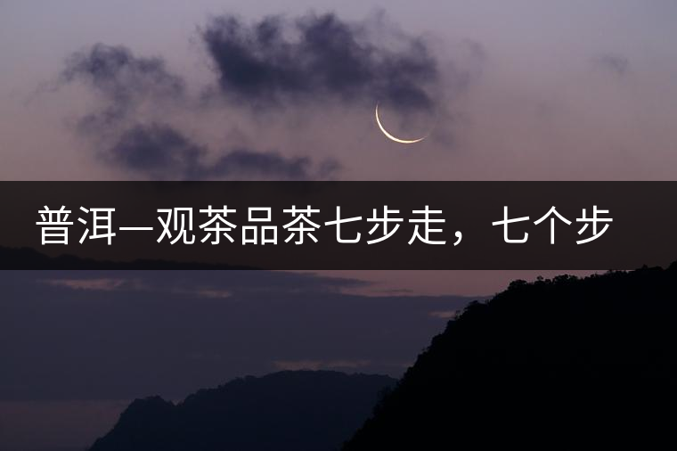 普洱—觀茶品茶七步走，七個步驟，喝懂普洱茶