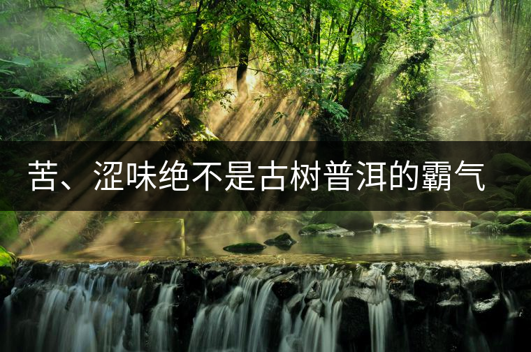 苦、澀味絕不是古樹普洱的霸氣，那也叫懂普洱茶，別逗了！