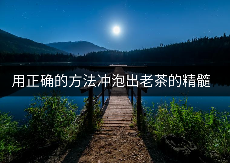 用正確的方法沖泡出老茶的精髓；評看普洱茶葉底也是一門手藝！