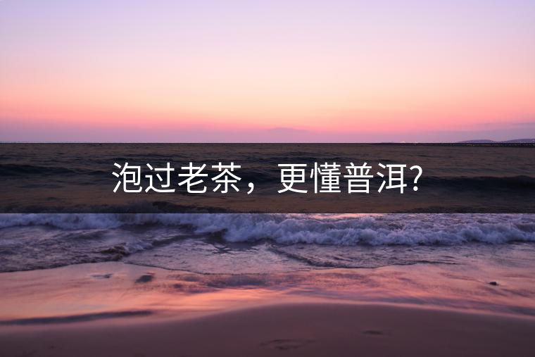 泡過老茶，更懂普洱?