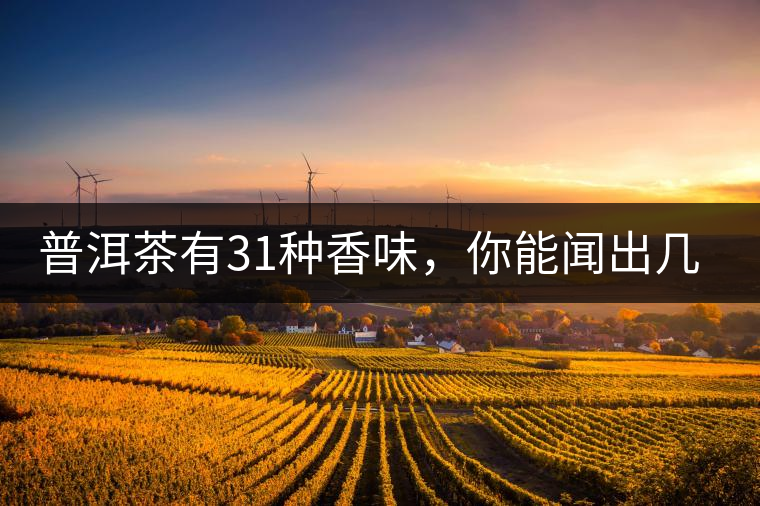 普洱茶有31種香味，你能聞出幾種來?