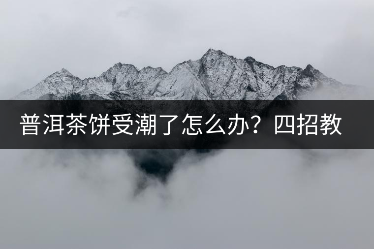 普洱茶餅受潮了怎么辦？四招教你拯救受潮發(fā)霉的茶餅