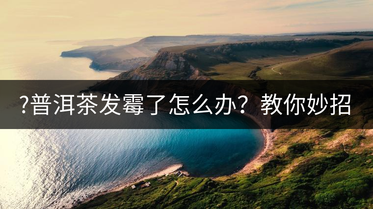 ?普洱茶發(fā)霉了怎么辦？教你妙招應(yīng)對發(fā)霉的普洱茶！