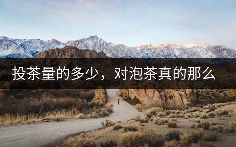 投茶量的多少，對(duì)泡茶真的那么重要嗎？