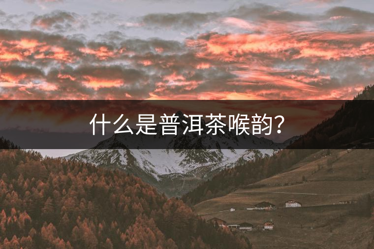 什么是普洱茶喉韻？