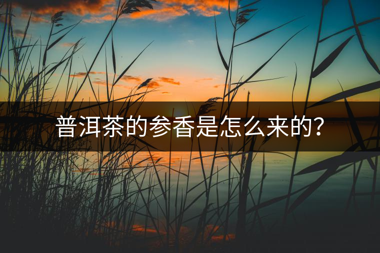 普洱茶的參香是怎么來(lái)的？