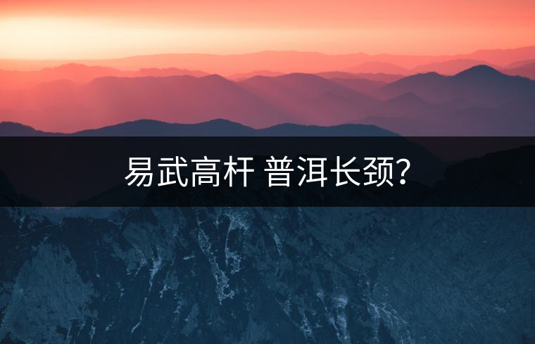 易武高桿 普洱長頸？