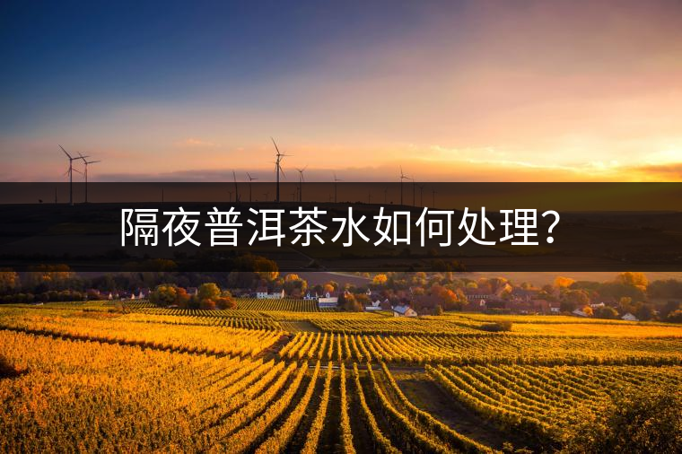 隔夜普洱茶水如何處理？