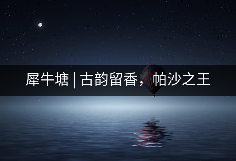 犀牛塘 | 古韻留香，帕沙之王