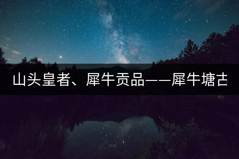 山頭皇者、犀牛貢品——犀牛塘古樹茶！