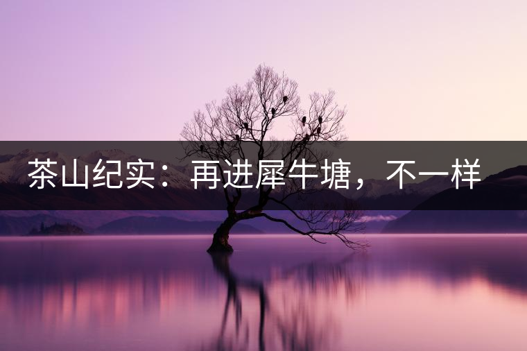 茶山紀(jì)實(shí)：再進(jìn)犀牛塘，不一樣的感覺(jué)；菁瑤可以預(yù)見(jiàn)的豐收年