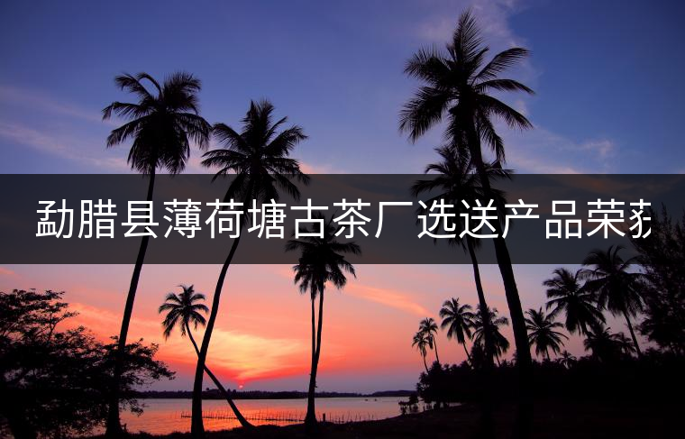 勐臘縣薄荷塘古茶廠選送產(chǎn)品榮獲2022年中港普洱茶博覽會金獎 勐臘縣薄荷塘古茶廠選送產(chǎn)品榮獲2022年中港普洱茶博覽會金獎