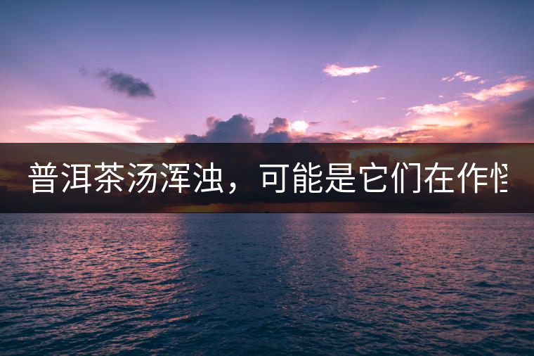 普洱茶湯渾濁，可能是它們在作怪？