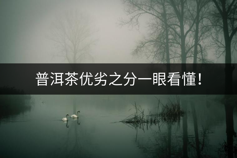 普洱茶優(yōu)劣之分一眼看懂！