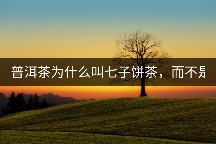 普洱茶為什么叫七子餅茶，而不是六子餅、八子餅......？