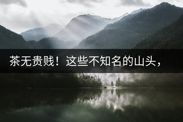 茶無貴賤！這些不知名的山頭，其實也產(chǎn)優(yōu)質普洱茶！