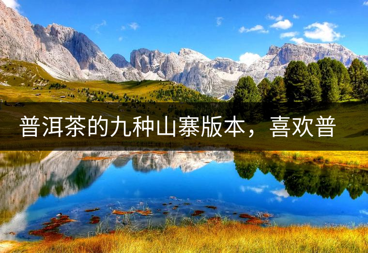 普洱茶的九種山寨版本，喜歡普洱茶的一定要看